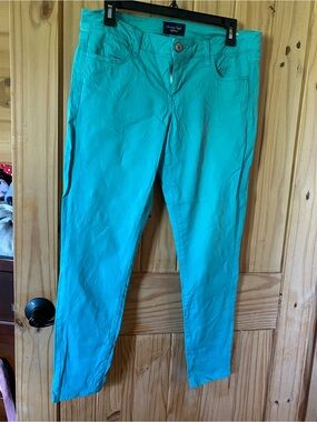 American Eagle Outfitters Teal Stretch Pants
